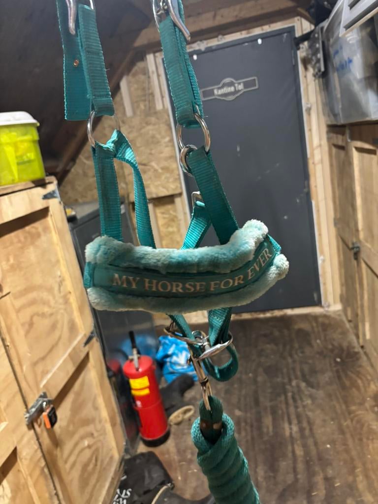 Shetland halster, Ophalen of Verzenden, Zo goed als nieuw, Overige soorten