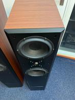 Usher V-604 Vloerstaande Luidsprekers - Zeer Nette Staat, Overige merken, Gebruikt, ., Ophalen of Verzenden