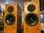 PMC FB1i monitor luidspreker, Zo goed als nieuw, 120 watt of meer, Front, Rear of Stereo speakers, Ophalen