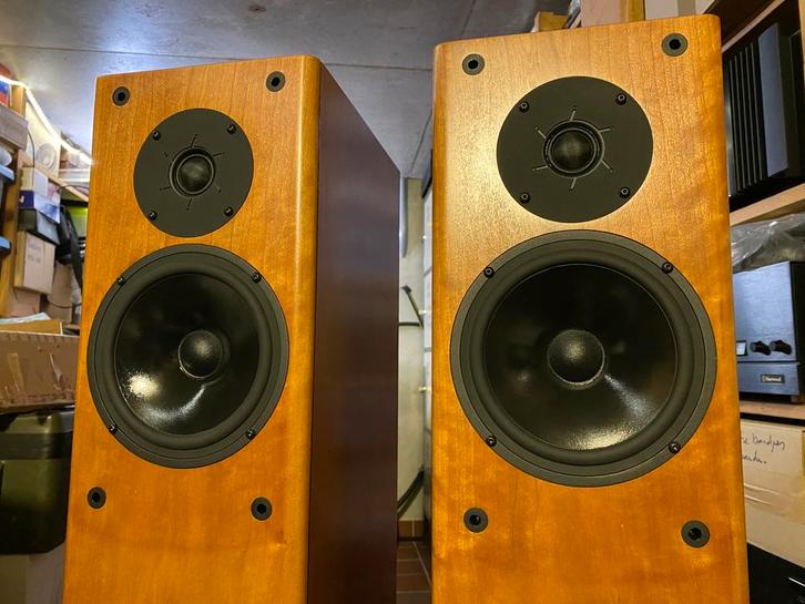 PMC FB1i monitor luidspreker, Audio, Tv en Foto, Luidsprekers, Zo goed als nieuw, Front, Rear of Stereo speakers, 120 watt of meer