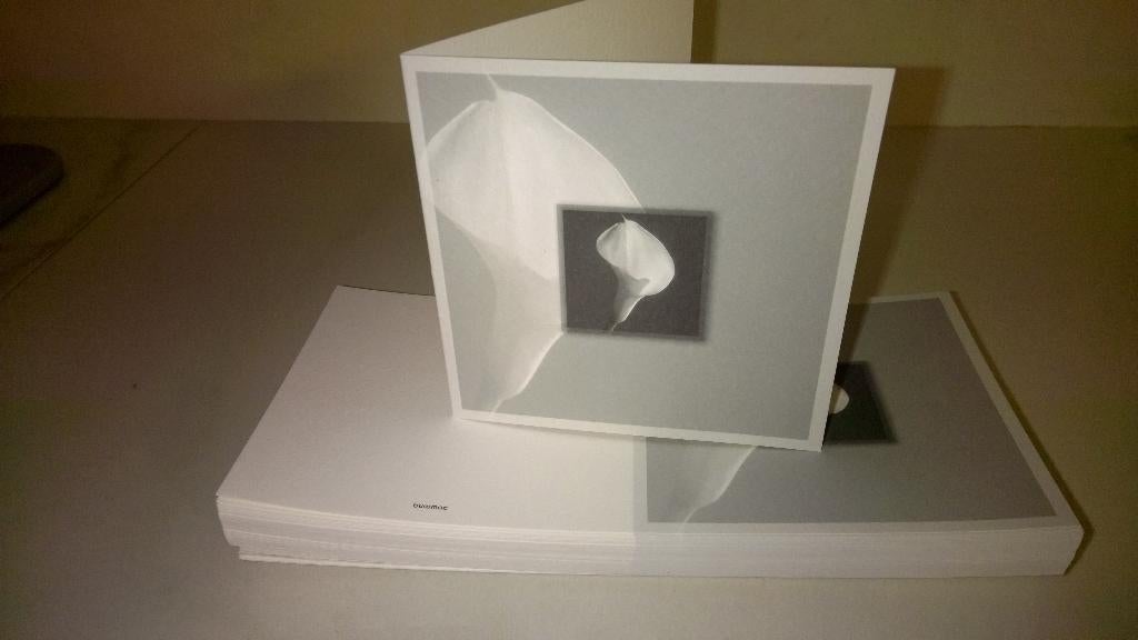 Dubbele kaarten met lelie ( vierkant ), Ophalen of Verzenden, Nieuw, Overige thema's, Overige typen