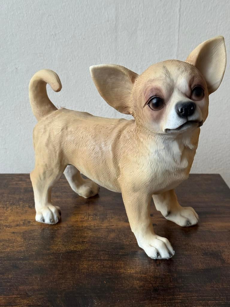 Prachtige Chihuahua, materiaal is polystone, Ophalen of Verzenden, Nieuw, Dier