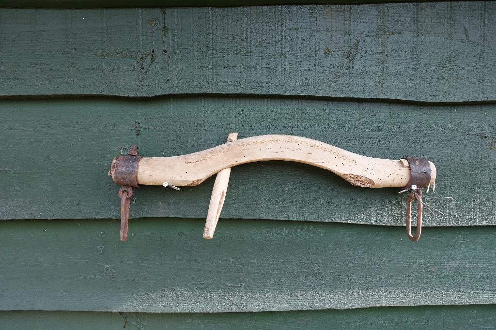 Ossenjuk, origineel, lengte 77 cm, perfect voor decoratie!, Ophalen