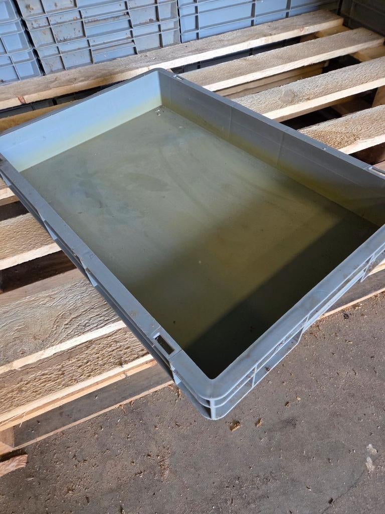 Kunstof bakken 40x60x7.5, Ophalen of Verzenden, 100 cm of meer, 60 cm of meer, Minder dan 35 cm