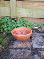 terracotta schaal dia 22 hoogte 9, Ophalen, Gebruikt, Rond, Terracotta