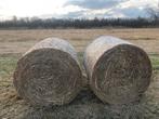 Stro, riet, balen, compost, bodem bedekker, mulchlaag, mulch, Ophalen of Verzenden