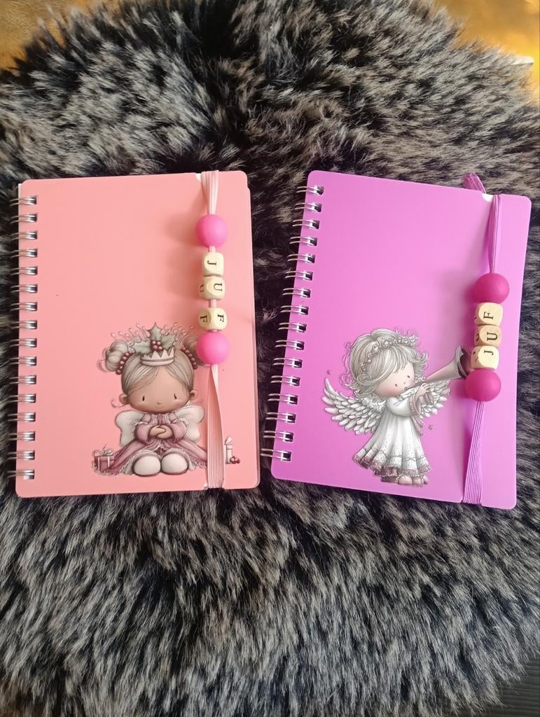 Juf of meester boekjes, Ophalen of Verzenden