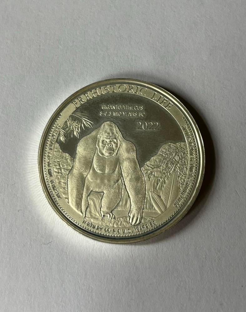 Zilveren 1 oz munt, Verzenden, Overige landen, Losse munt, Zilver