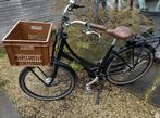 Popal Daily Dutch elektrische fiets, Gebruikt, 51 tot 55 cm, 50 km per accu of meer, Ophalen