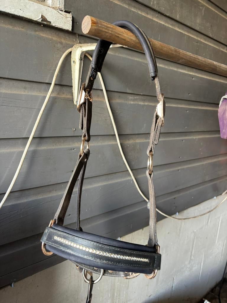 Eskadron pony halster zwart met een gloed erover heen, Ophalen of Verzenden, Zo goed als nieuw, Overige soorten