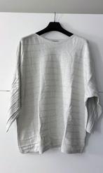 Canda grijze pull met zilverdraad, Maat 46/48 (XL) of groter, Ophalen of Verzenden, Zo goed als nieuw, Grijs