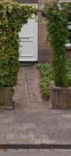 50x50 tegels GRATIS, Tuin en Terras, Tegels en Klinkers, Ophalen, Gebruikt, Minder dan 5 m², Beton