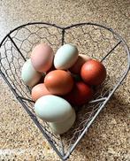 Verse uitloopeieren, Ophalen