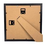 Morpho catenarius vlinder passe partout 25x25 cm, Ophalen of Verzenden, Nieuw, Insect, Opgezet dier