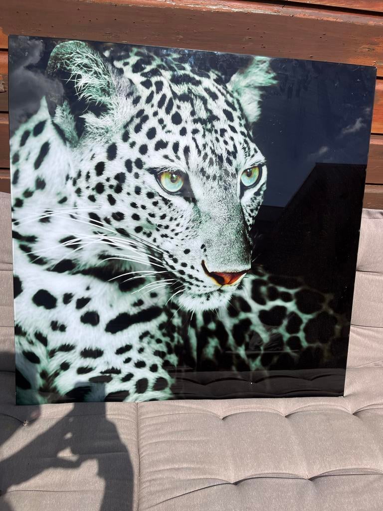 Schilderij luipaard van glas 80x80 cm, Ophalen of Verzenden
