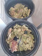 Levend steen €6 p/kg, Dieren en Toebehoren, Vissen | Aquaria en Toebehoren, Ophalen, Plant(en), Steen of Hout