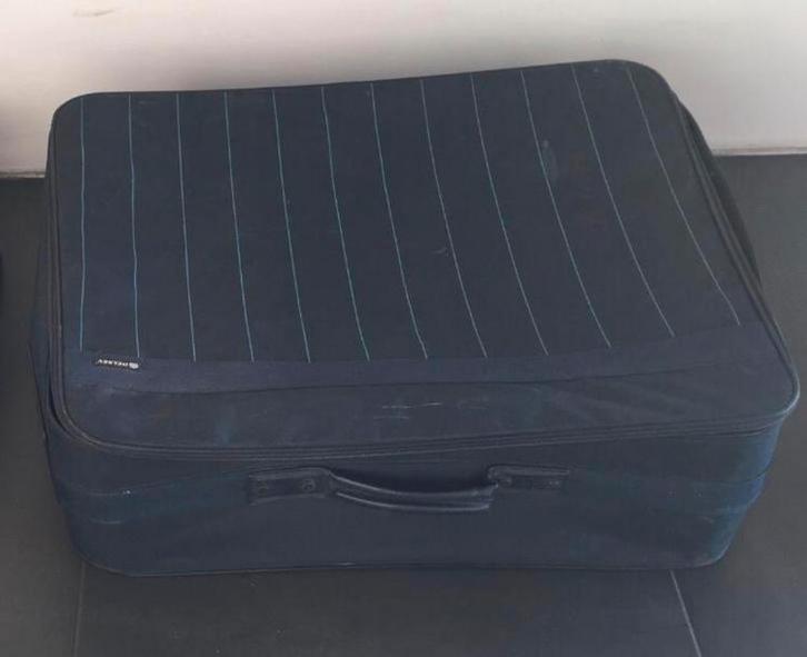 Grote Delsey Reiskoffer 75-85cm Wereldreis Kwaliteit, Sieraden, Tassen en Uiterlijk, Koffers, Zo goed als nieuw, Zacht kunststof