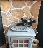 Natuursteentegels flagstones, Ophalen, Nieuw, Terrastegels, Natuursteen