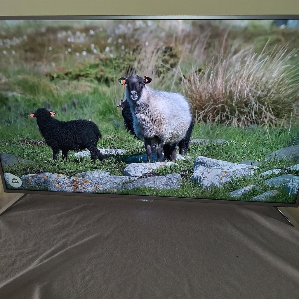 Philips 49 inch Smart TV met ambilight, Philips, 50 Hz, Ophalen of Verzenden, 40 tot 60 cm