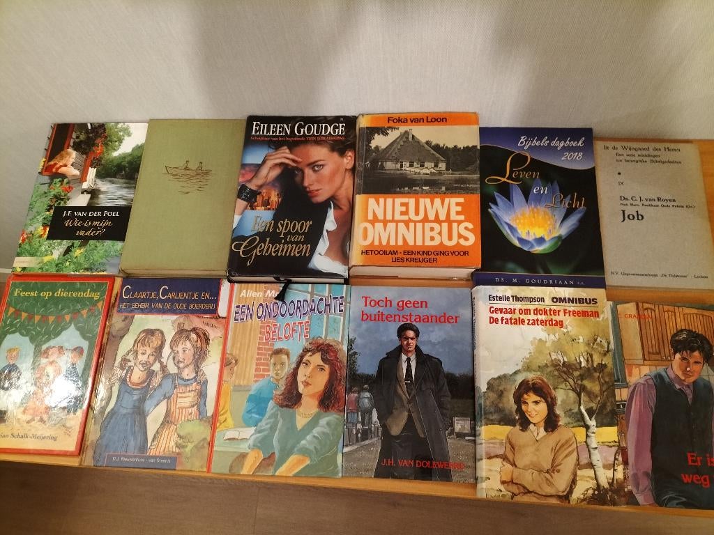 Voordeelpakket diverse boeken , diverse schrijvers, Boeken, Ophalen of Verzenden, Gelezen, Verschillende onderwerpen