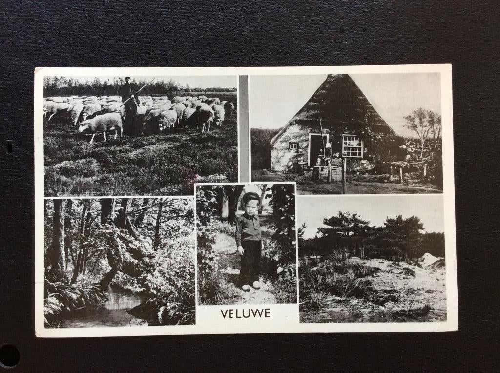 Veluwe, Ophalen of Verzenden, 1940 tot 1960, Gelopen, Gelderland
