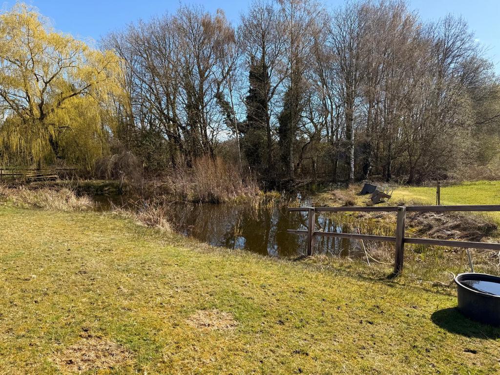 Pensionstal, Dieren en Toebehoren, Stalling en Weidegang, Weidegang