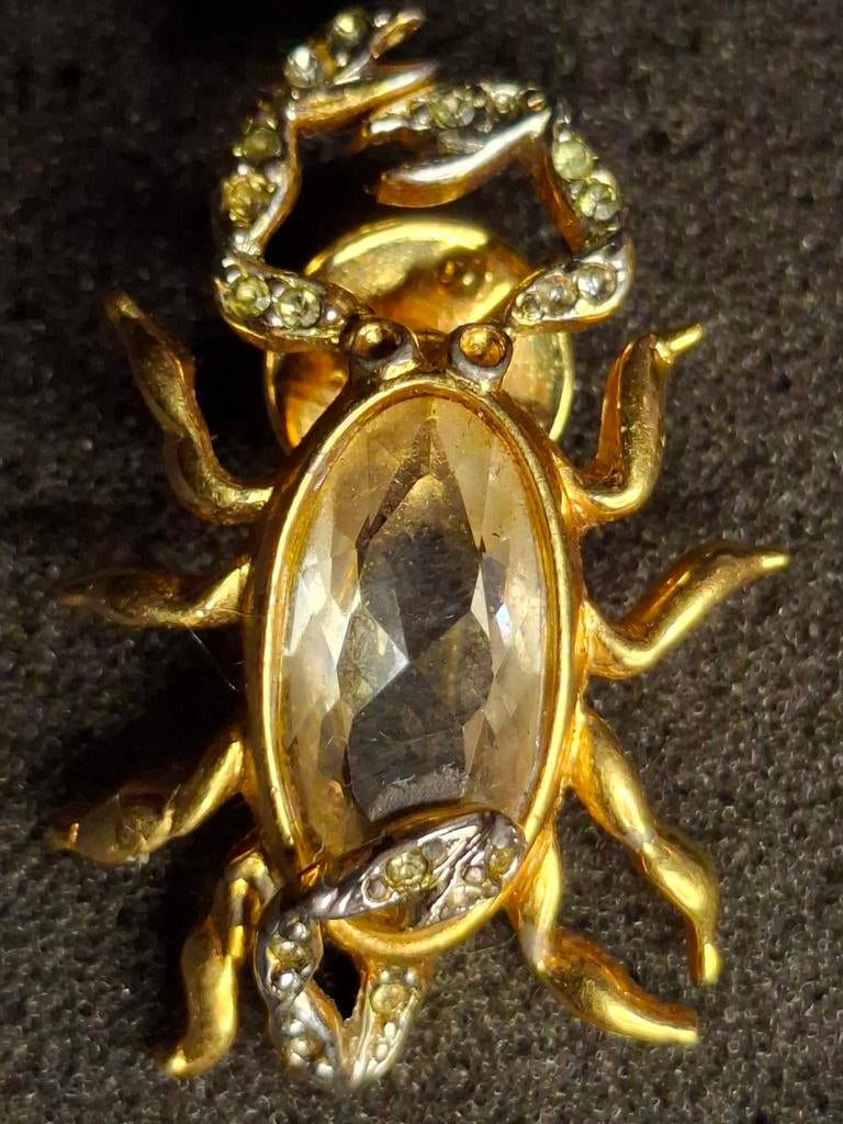 Schorpioen speld 3x1.5 cm, Ophalen of Verzenden