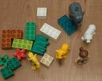 Duplo Baby Zoo Set - 4962 met dieren en figuur, Ophalen of Verzenden, Zo goed als nieuw, Complete set, Duplo