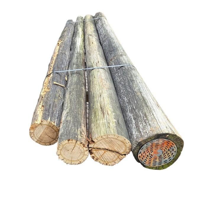 Ronde palen  Afmeting: +/- 12 / 20 cm - nr: TB301, Ophalen, Gebruikt, 250 cm of meer, Palen