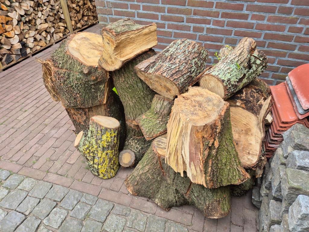Eiken haardhout blokken (stammen zelf te kloven), Minder dan 3 m³, Ophalen, Eikenhout, Blokken
