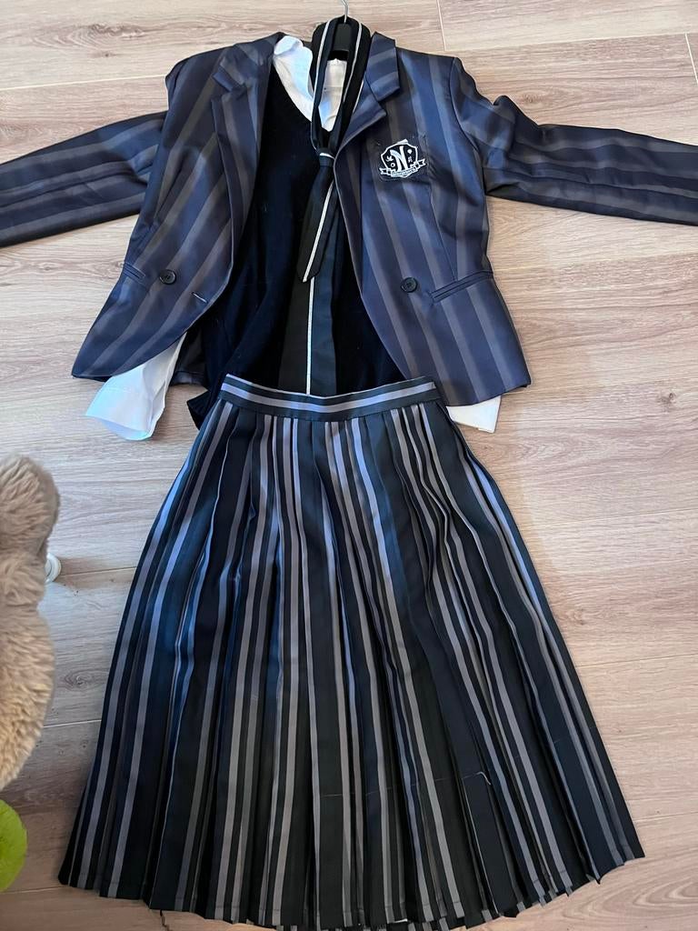 Wednesday carnaval pak maat S, Kleding | Dames, Carnaval, Ophalen of Verzenden, Kleding, Maat 36 (S)