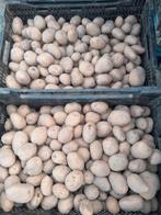 Pootaardappelen frieslander, Ophalen, Voorjaar, Volle zon