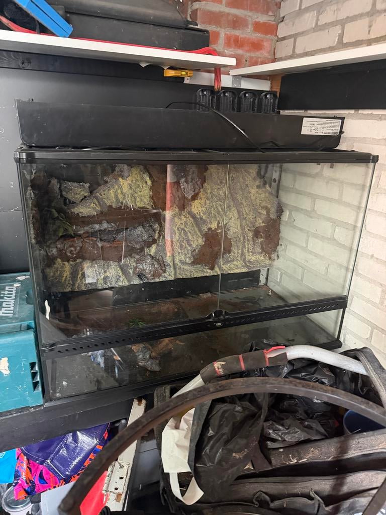 EXO TERRA terrarium, Ophalen, Terrarium of Paludarium