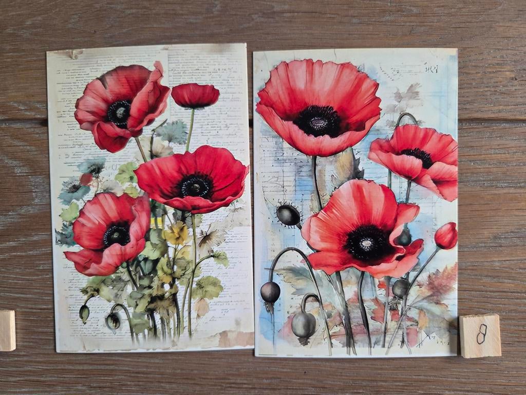 KLAPROOS BLOEM 8, Ophalen, Overige thema's