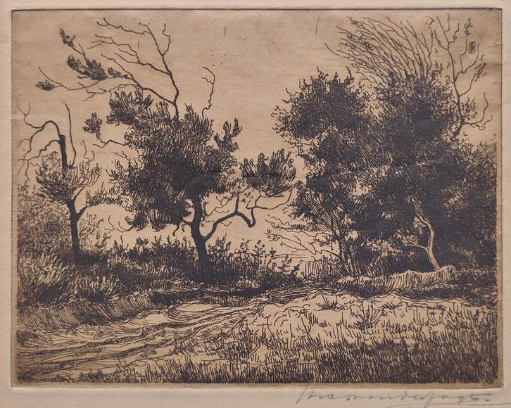 Nico van der Jagt - Bosgezicht, Antiek en Kunst, Kunst | Etsen en Gravures, Ophalen of Verzenden