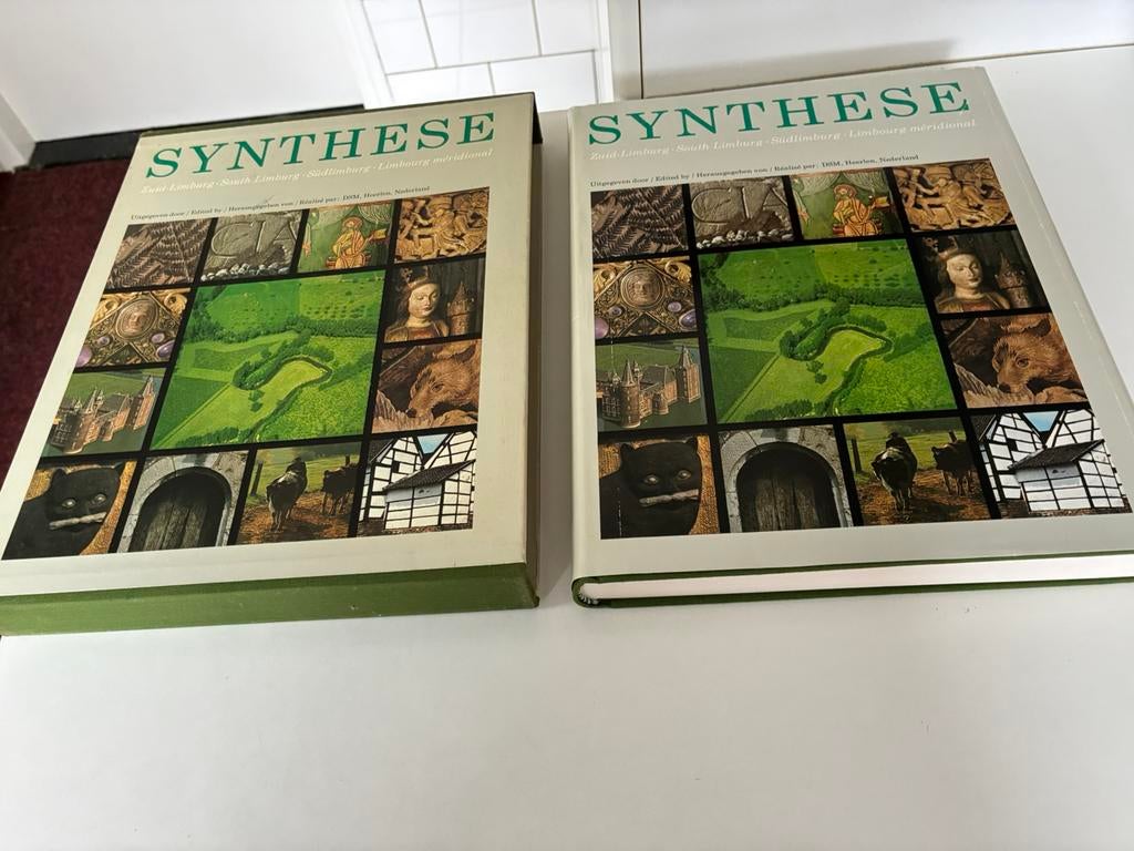 Synthese, Ophalen of Verzenden, Zo goed als nieuw