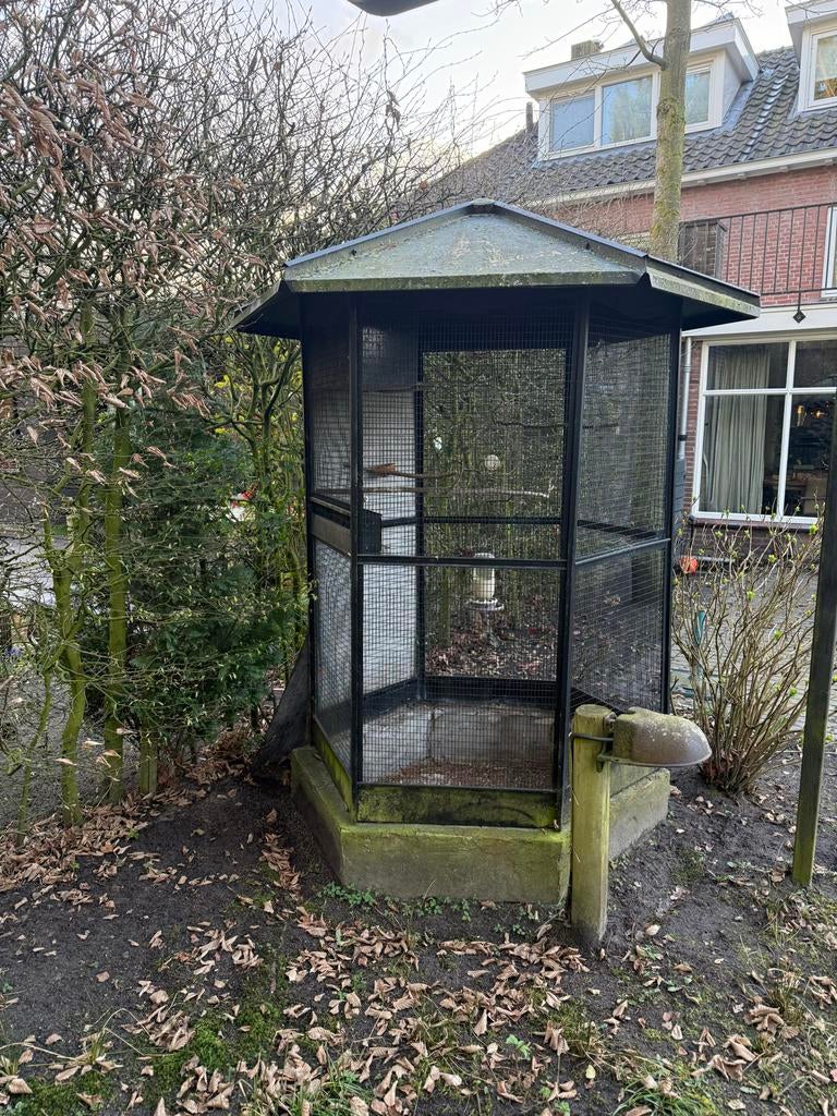 Voliere, Dieren en Toebehoren, Vogels | Hokken en Kooien, Ophalen of Verzenden, Gebruikt, Hout, Volière