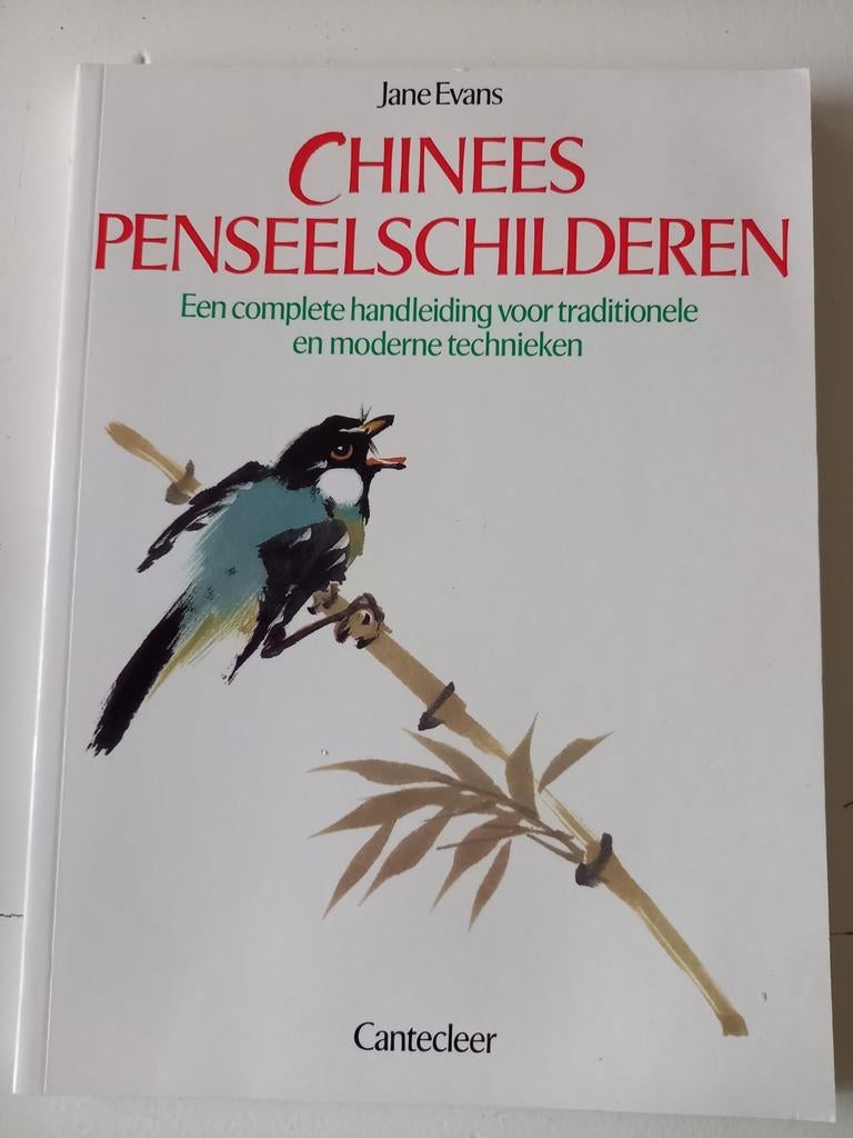 w8 Chinees penseelschilderen - Jane Evans, Ophalen of Verzenden, Zo goed als nieuw