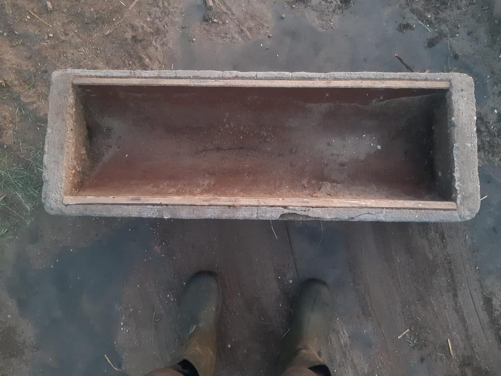 Te koop 2 betonnen voerbakken, Dieren en Toebehoren, Schapen, Geiten en Varkens, Meerdere dieren, Schaap