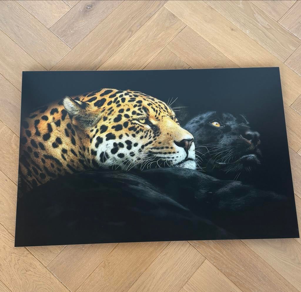 YellowKorner Pedro Jarque Krebs - Ebony and Ivory (377/500), Ophalen