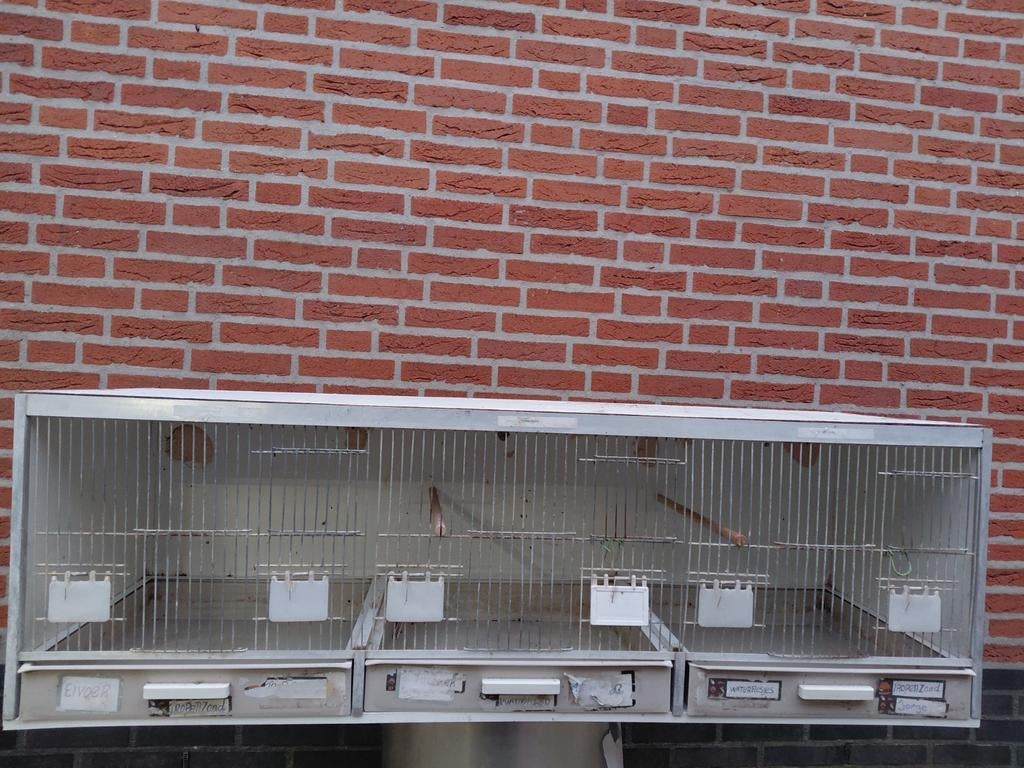 Broedhok/broedkooi, Dieren en Toebehoren, Vogels | Hokken en Kooien, Ophalen of Verzenden, Hout, Broedkooi of Kweekkooi