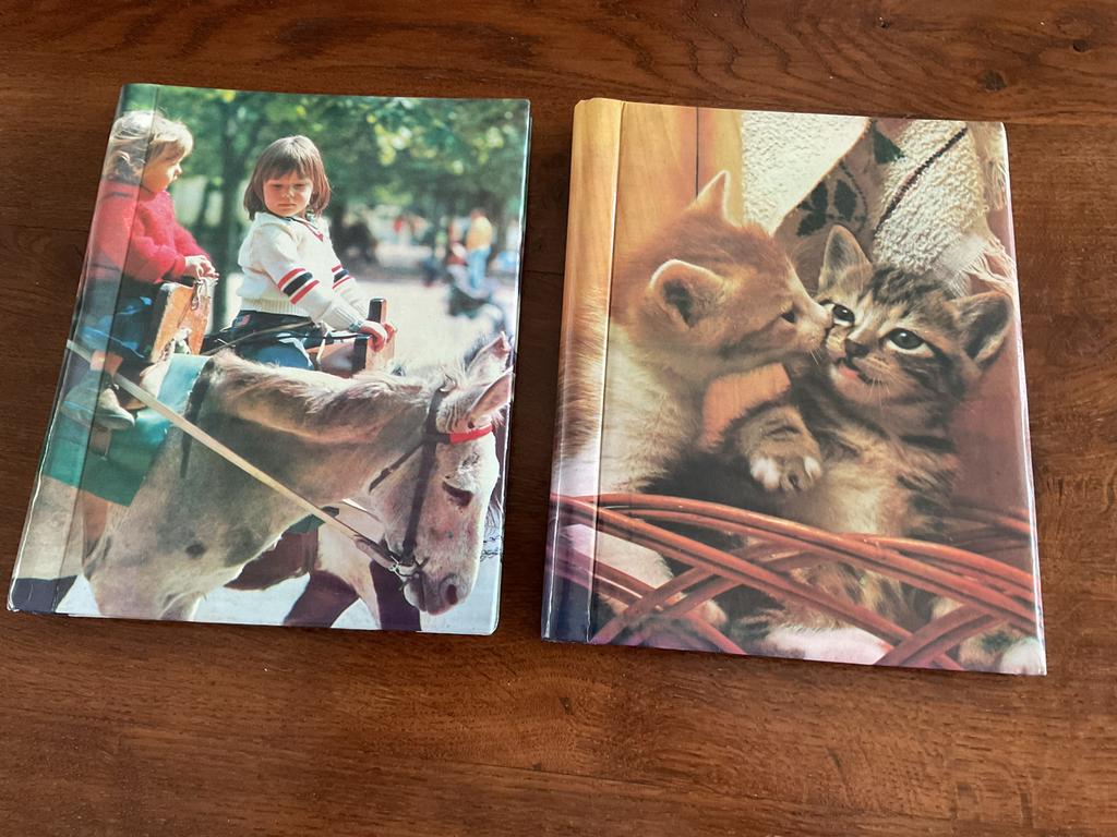 2 Fotoalbums vintage, Audio, Tv en Foto, Fotoalbums en Accessoires, Ophalen of Verzenden, Gebruikt, Fotoalbum