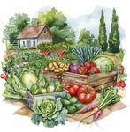 Plek vrij op moestuin, Tuin en Terras, Overige Tuin en Terras, Ophalen of Verzenden, Zo goed als nieuw