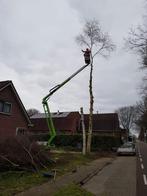 Bomen snoeien, kappen, rooien, en verder tuinonderhoud