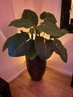 Grote Balinese schelpen vloer potten met luxe kunstplanten, Huis en Inrichting, Kamerplanten, Ophalen, Overige soorten, Halfschaduw