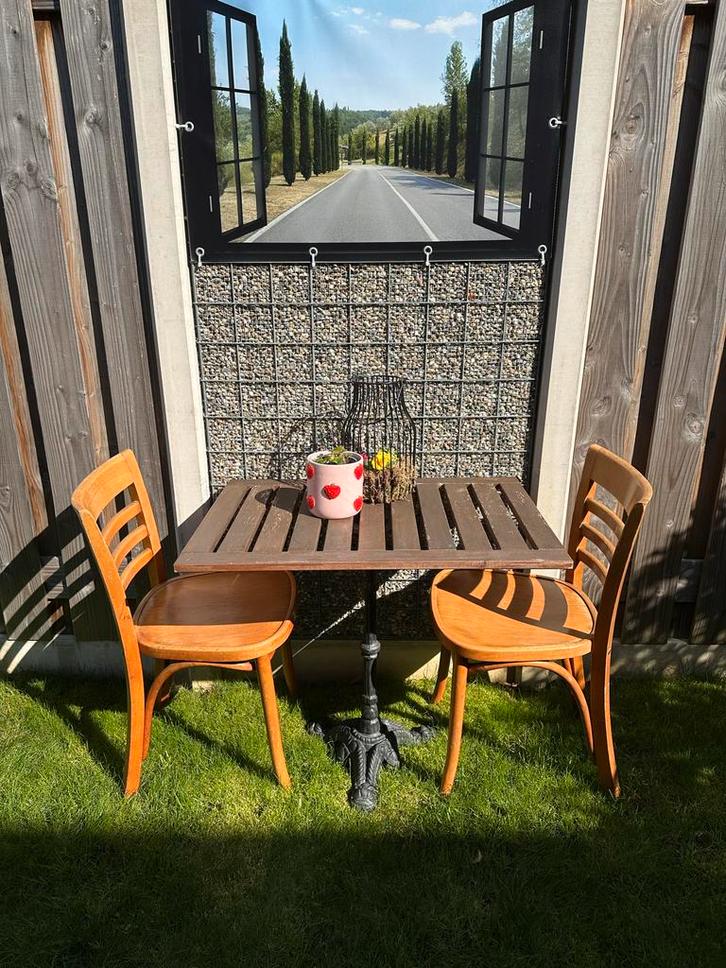 2 retro caféstoelen van Satelliet, Huis en Inrichting, Stoelen, Gebruikt, Twee, Hout, Bruin, Ophalen of Verzenden