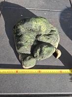 Grot voor terrarium of aquarium