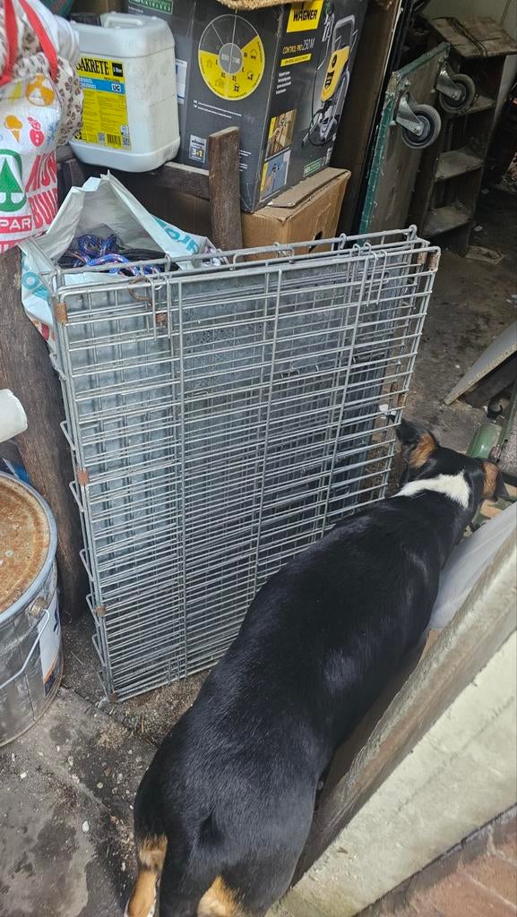 Honden bench 78x53cn, Ophalen of Verzenden, 75 tot 110 cm, Minder dan 65 cm