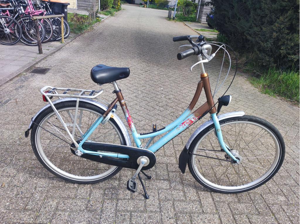 Batavus Blockbuster, Fietsen en Brommers, Gebruikt, 56 cm of meer, Niet ingevuld, Ophalen