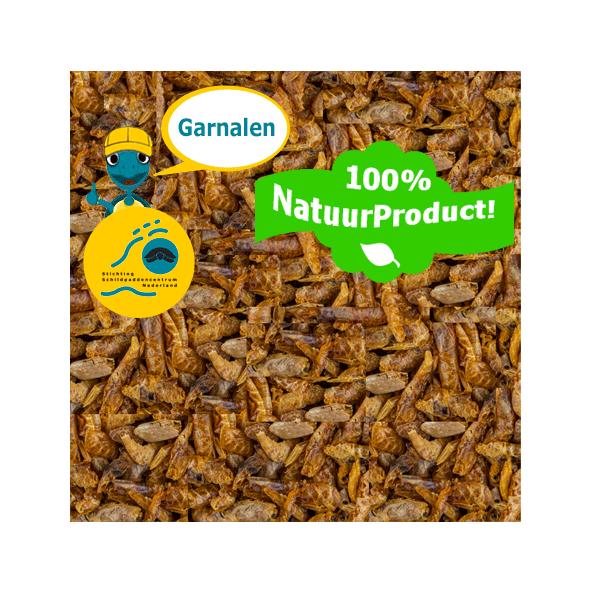 Gedroogde Garnalen voor Waterschildpadden (Natuurproduct), Winkel Schildpaddencentrum, Overige typen, Nieuw, Ophalen of Verzenden